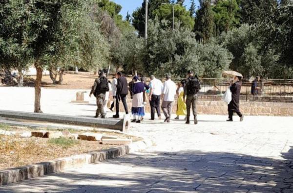 عشرات المستوطنين يقتحمون الأقصى