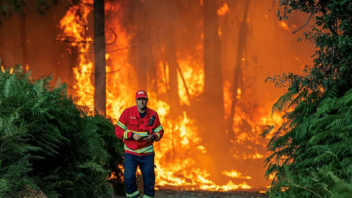 إجلاء أكثر من ألف شخص بسبب حريق غابات في البرتغال