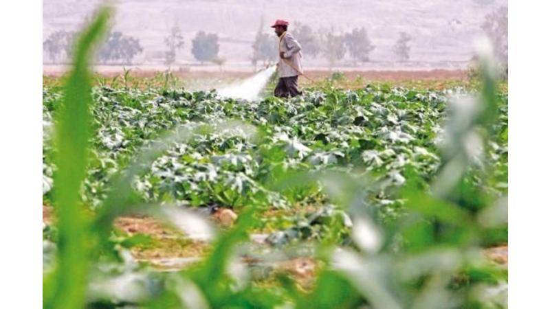 زيادة التزويد المائي للمزارعين لمواجهة الحرارة