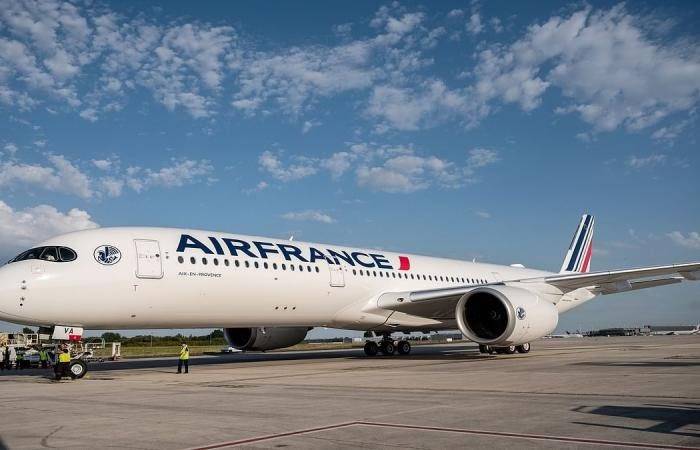 الخطوط الفرنسية تمدّد تعليق رحلاتها إلى دولتين إفريقيتين