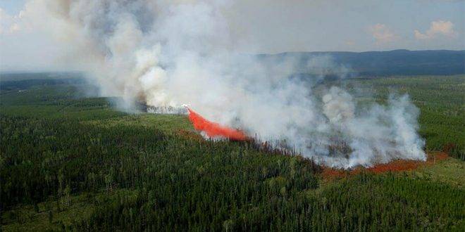 كندا.. حرائق الغابات تسببت بانبعاث ما يعادل أكثر من مليار طن من ثاني أكسيد الكربون