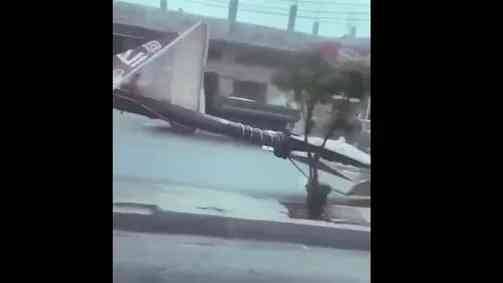 نتيجة الرياح الشديدة.. سقوط أعمدة كهرباء وأشجار في الرصيفة