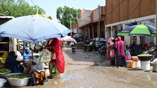 وزير خارجية الرئيس النيجري يتحدث عن مذابح في نيامي