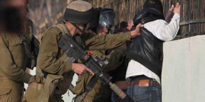 قوات الاحتلال تعتدي على الفلسطينيين في جنين والخليل