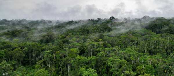 الإكوادور تصوت على مصير التنقيب عن النفط بمنطقة الأمازون