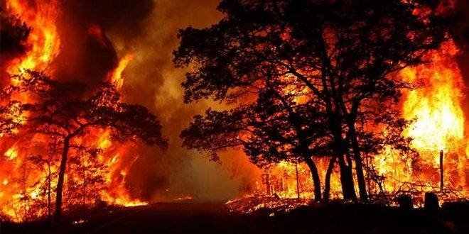 بدء عمليات إجلاء جوي في مسار حرائق الغابات في كندا