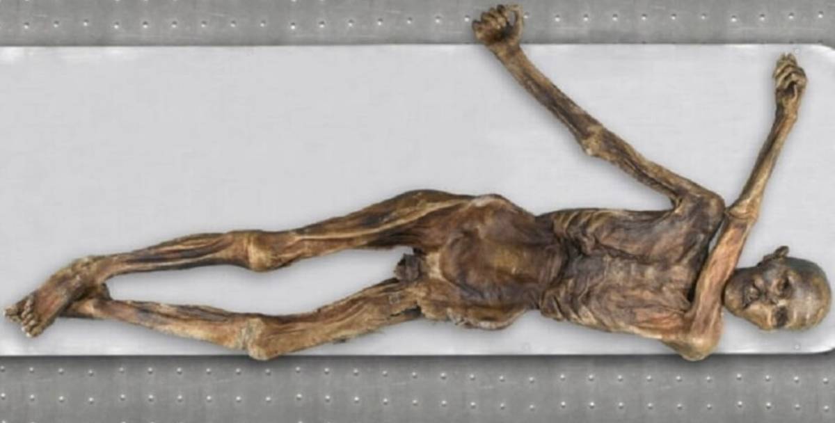 نتائج صادمة لتحليل مومياء رجل أوروبي بدائي