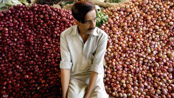 الهند تفرض ضريبة ضخمة على صادرات البصل حتى نهاية العام