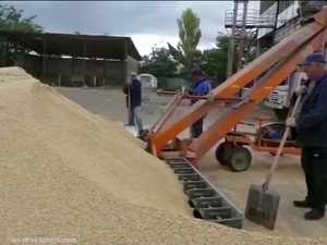 أوكرانيا تدرس استخدام ممر جديد في البحر الأسود لتصدير الحبوب