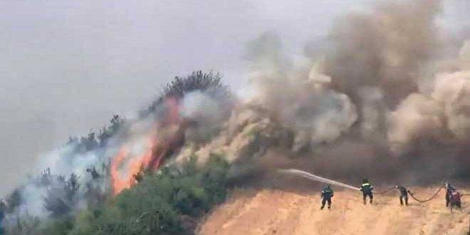 مصرع شخص جراء حرائق الغابات المستعرة في اليونان