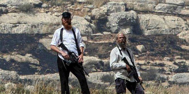 مستوطنون يعتدون على ممتلكات للفلسطينيين في بلدة دورا جنوب الخليل