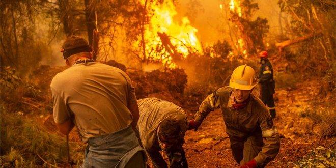 العثور على جثث 18 شخصاً قضوا جراء الحرائق في غابات اليونان