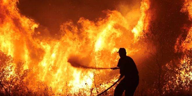 حرائق الغابات تستعر في اليونان وإسبانيا وإيطاليا مع انتشار موجة الحر