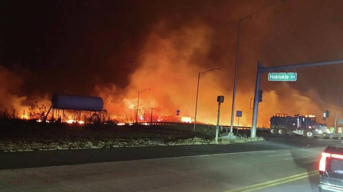 1100 مفقود في حرائق هاواي