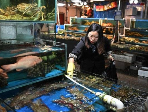 الصين تعلق استيراد منتجات البحر اليابانية