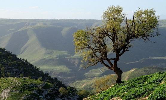 كتلة هوائية معتدلة الحرارة تقترب من الاردن الاحد