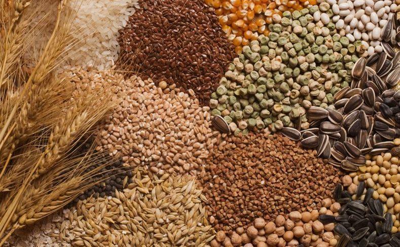 إنشاء قاعدة بيانات شاملة للأمن الغذائي بالأردن