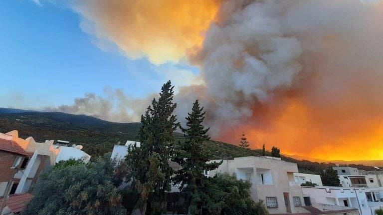 إجلاء 11 عائلة إثر اندلاع حرائق غربي تونس