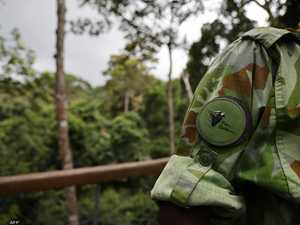 انقلاب الغابون.. خطيئة عائلة بونغو ولعنة الكنوز الطبيعية