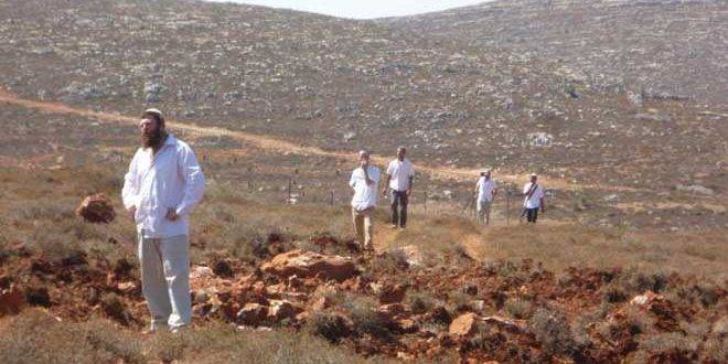 مستوطنون يستولون على مساحات من أراضي الأغوار الشمالية