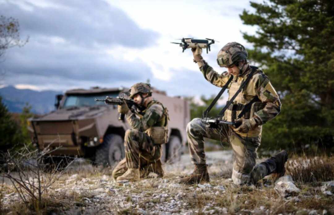 تنظيم القوات المسلحة الفرنسية