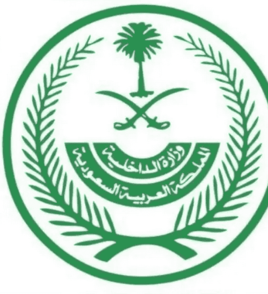 السعودية.. القصاص من قاتل أم وابنها في نجران