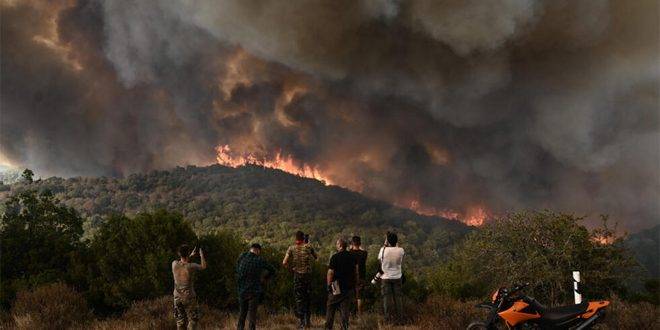 حرائق الغابات تتواصل لليوم السادس عشر على التوالي في اليونان