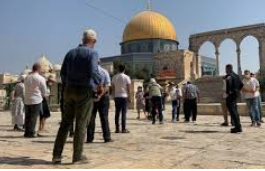 الأوقاف الفلسطينية: اقتحام الأقصى 23 مرة الشهر الماضي