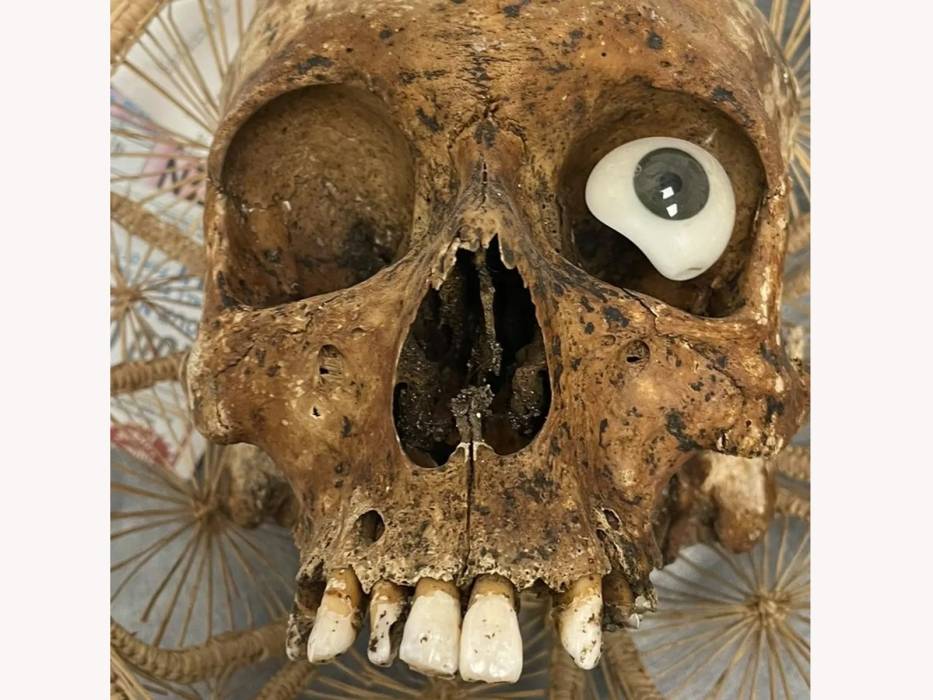 جمجمة بشرية في صندوق تبرعات