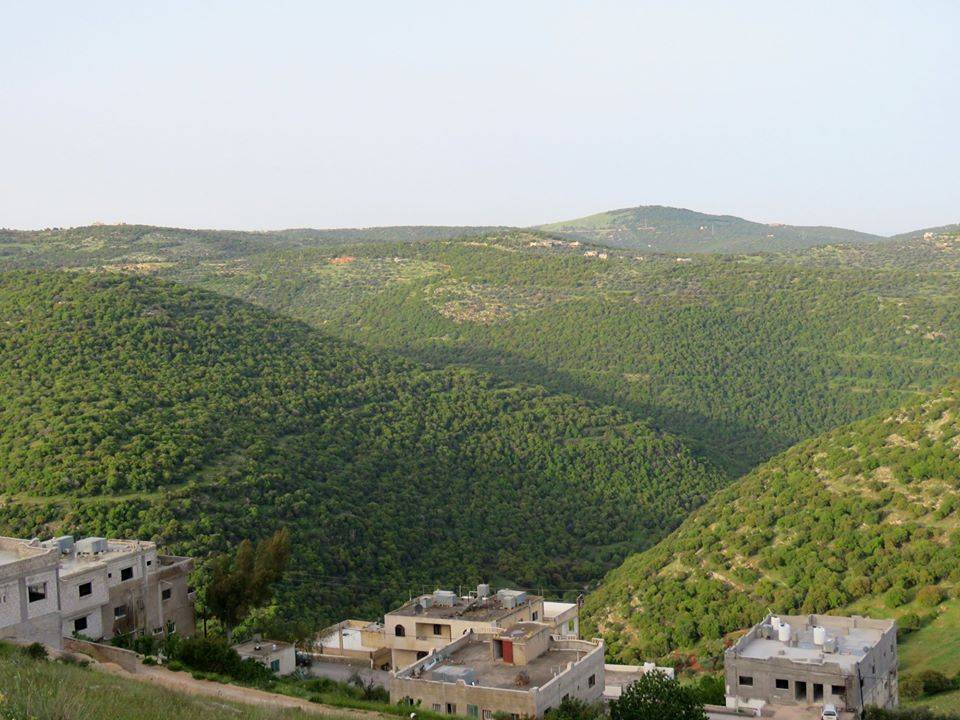 زراعة المزار الشمالي تدعو مواطني اللواء لفلاحته