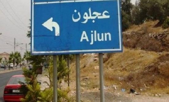 وثيقة في عجلون لمحاربة إطلاق العيارات النارية