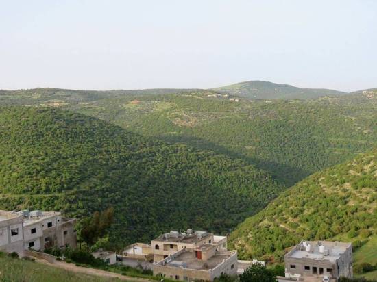 زراعة المزار الشمالي تدعو للاستفادة من مياه الأمطار