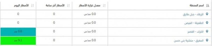 المفرق تُسجل هطول 9 ملم من الامطار