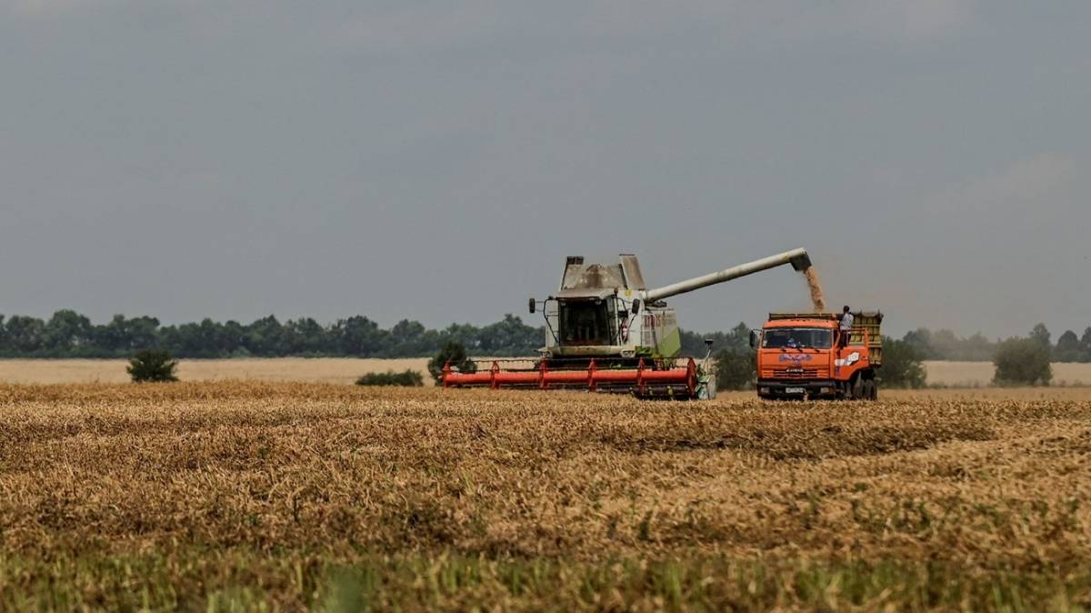 بولندا والمجر وسلوفاكيا تفرض حظرا على الحبوب الأوكرانية