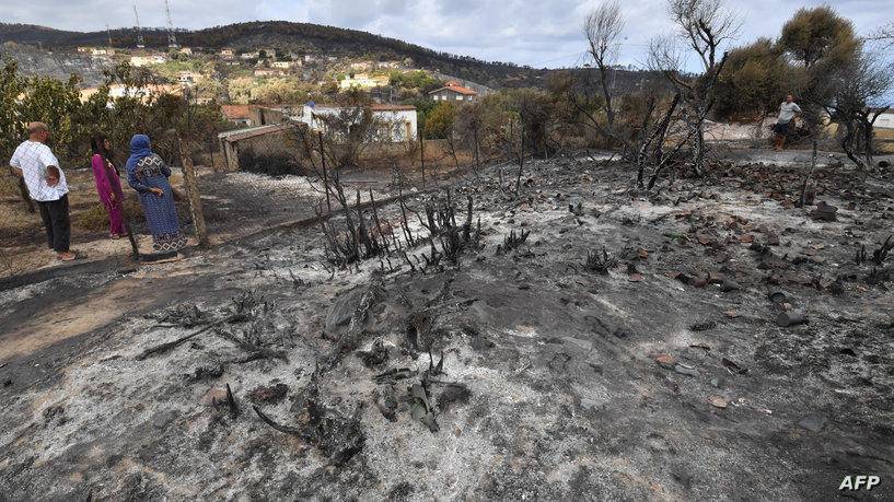 الجزائر.. إخماد 20 حريقا ببجاية وإجلاء للسكان