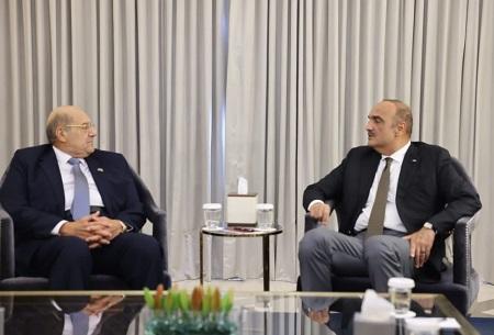 الخصاونة يلتقي رئيس مجلس الشيوخ المصري