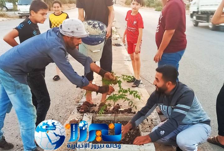 مبادرة خيرات بلدي _فوعرا تزرع عددًا من  الشجيرات على جزيرة وسطية ...صور