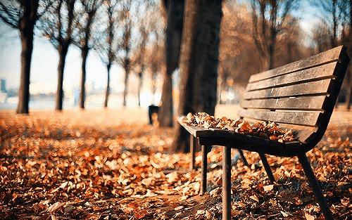 عودة للأجواء الخريفية المعتدلة في الأردن