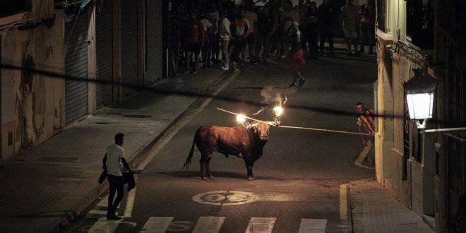 مصرع شخص وإصابة آخر في مهرجان للركض أمام الثيران في إسبانيا