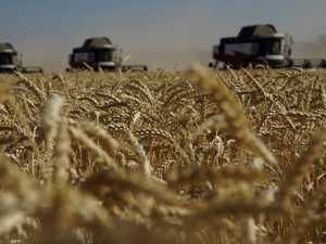 صادرات الحبوب الأوكرانية تهبط 51 في سبتمبر