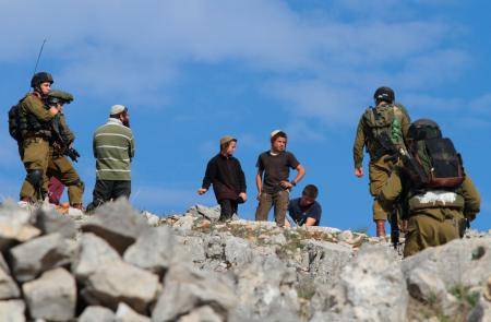 مستوطنون يقتلعون ويكسرون أشجار زيتون غرب سلفيت