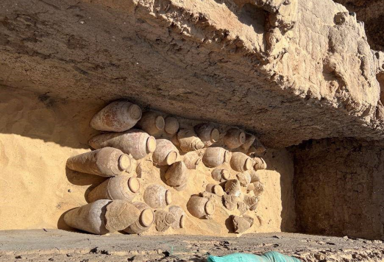 اكتشاف نبيذ محفوظ في صعيد مصر منذ 5000 عام