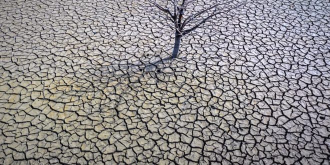 يورونيوز: أزمة نقص المياه في إسبانيا بسبب موجة الجفاف