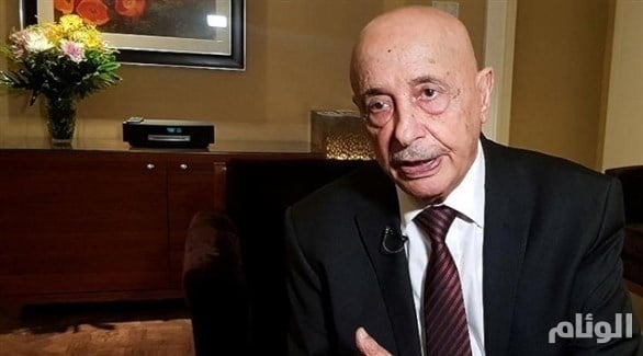 ليبيا.. إصدار قانوني انتخاب رئيس الدولة ومجلس الأمة