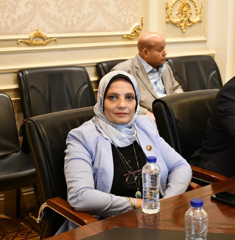 العسيلي تطالب بأعمال درامية تخلد بطولات حرب الأستنزاف ونصر اكتوبرالعظيم