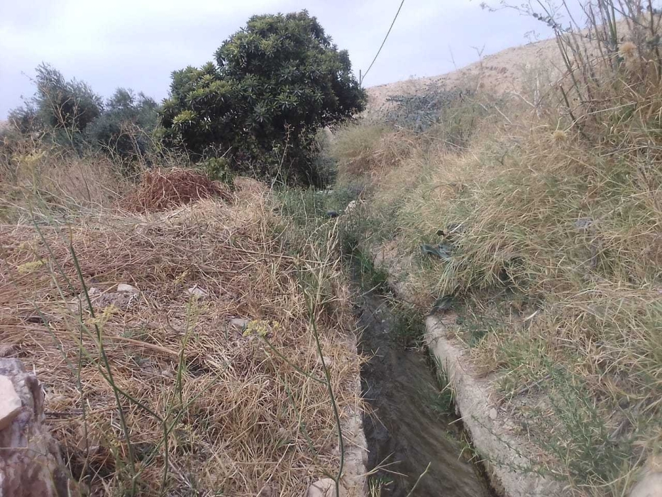 الكرك: مزارعون يطالبون بصيانة قنوات ومجاري مياه بوادي ابن حماد