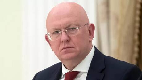 مندوب روسيا: مجلس الأمن رهينة لأنانية الغرب