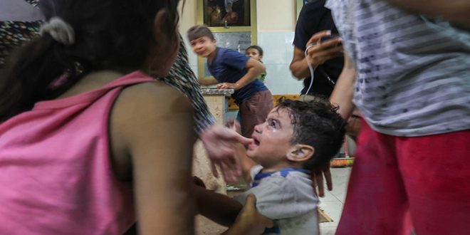 أبو الغيط: أي عقل من جهنم ذلك الذي يقصف مستشفي بنزلائه العزل