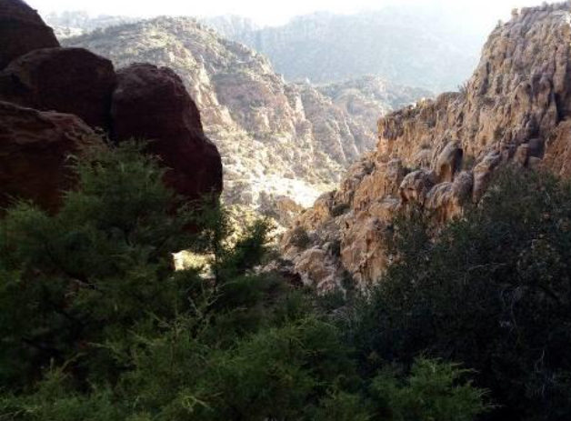 العثور على سائحين ضلا الطريق في محافظة الطفيلة