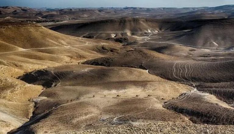 بعد إشارة السيسي لها.. ما هي صحراء النقب؟